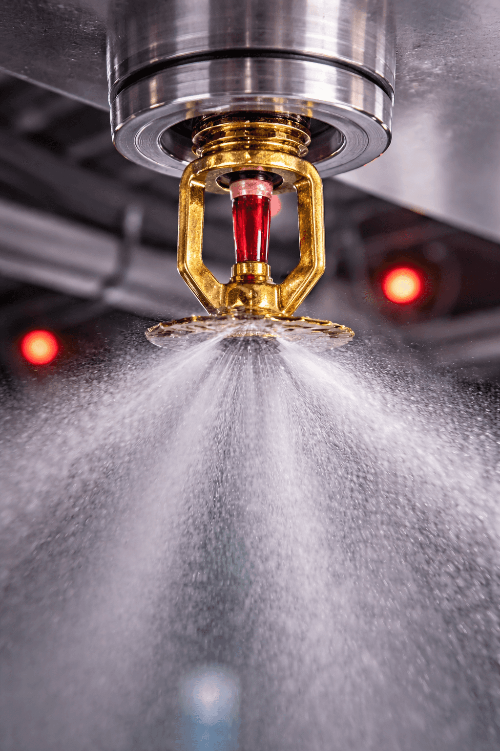 Fire Sprinkler Systems
